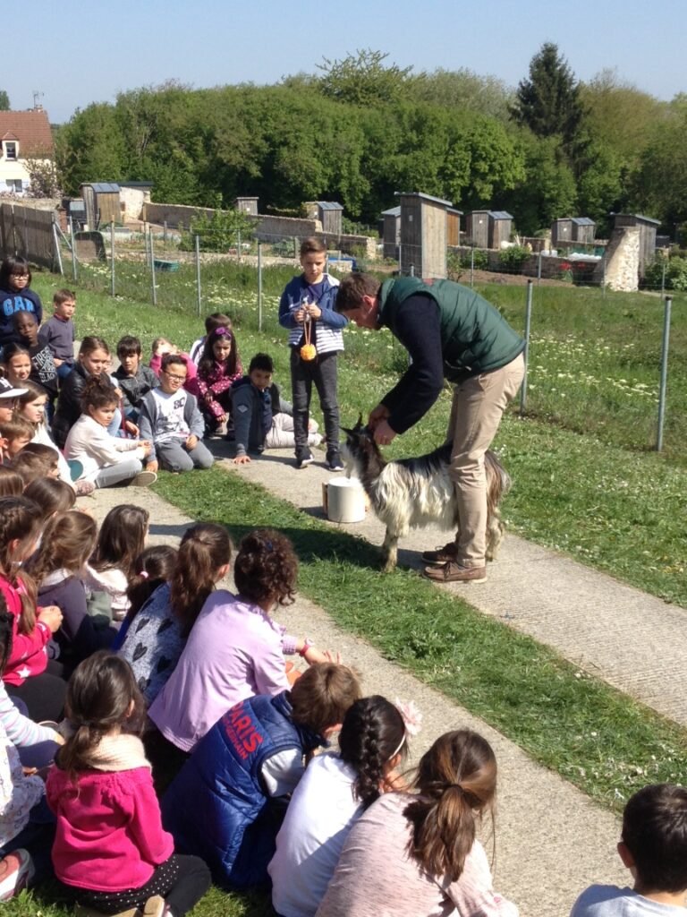 Eco-pâturage - Pâturage de l'avenir - Pédagogie